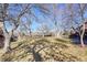 Well-maintained backyard featuring mature trees and landscaping at 7077 S Bryant St, Littleton, CO 80120