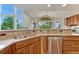 Close up on the sink and stainless steel dishwasher in the kitchen area at 1127 Buttermilk Rd, Larkspur, CO 80118