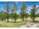 Lush property view with mature trees at 1127 Buttermilk Rd, Larkspur, CO 80118