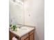 Bathroom vanity with a white sink, large mirror, and small potted plant at 912 S Yampa St # 206, Aurora, CO 80017