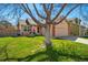 Attractive exterior view with vibrant green lawn and a mature tree providing shade and curb appeal at 3303 Blue Grass Cir, Castle Rock, CO 80109