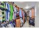 Spacious walk-in closet featuring custom wood shelving, ample hanging space, and organized storage solutions at 5657 Jaguar Way, Lone Tree, CO 80124