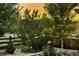 Backyard features mature trees, flowering plants, and a wooden fence for privacy at 7665 Grady Cir, Castle Rock, CO 80108