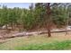 Landscaped backyard with mature trees and a wooden bridge at 94 Spring Ln, Boulder, CO 80302