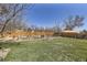 Large backyard is fenced in and has a storage shed in the distance at 11123 Clermont Dr, Thornton, CO 80233