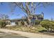 Landscaped home with mature tree, stone accents, and well-maintained lawn at 11123 Clermont Dr, Thornton, CO 80233