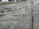Backyard view with herd of elk grazing in a natural setting, offering serene privacy and wildlife viewing at 19105 Eagle Ridge Dr, Golden, CO 80401