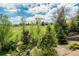 Backyard landscape with green grass, trees and a fence at 19105 Eagle Ridge Dr, Golden, CO 80401