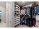 Spacious walk-in closet with custom shelving, hanging racks, and ample storage at 56 Magnolia Ct, Erie, CO 80516