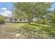 Backyard with mature shade tree and lush lawn at 1926 S Yates St, Denver, CO 80219