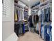 Spacious walk-in closet featuring custom shelving and ample hanging space at 392 Starmine Pl, Castle Rock, CO 80108