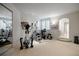 Dedicated workout room with exercise equipment, mirrored wall, and bright windows at 392 Starmine Pl, Castle Rock, CO 80108