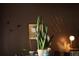 Striking living room with snake plant decor, wall art and mood lighting on a dark painted wall at 1555 California St # 609, Denver, CO 80202