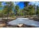 Wooded forest with a dusting of snow on the ground with mature evergreen trees at 11405 Conifer Ridge Dr, Conifer, CO 80433