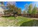 Spacious backyard with mature trees and a brick firepit at 1248 Meadow St, Longmont, CO 80501