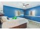 Bright bedroom with a double bed, two windows, and blue walls at 7205 Fallon Cir, Castle Rock, CO 80104