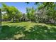 Lush backyard with large trees providing ample shade, enclosed with a classic wooden fence at 5265 W Quarles Dr, Littleton, CO 80128