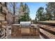 Beautiful outdoor kitchen with stone surround features stainless steel appliances, built-in grill and counter space at 4 White Fir Ct, Littleton, CO 80127