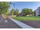 Well-maintained backyard with green grass, mature trees, and a concrete walking path at 8450 Decatur St # 97, Westminster, CO 80031