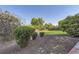 Lush backyard with green grass, mature trees, and landscaping shrubs at 8450 Decatur St # 97, Westminster, CO 80031