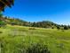 Green pasture with rock outcroppings in the distance at 1151 Castlewood Pl, Franktown, CO 80116
