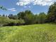 Scenic view of the property's grassy land, featuring mature trees under a bright, partially cloudy sky at 153 Gold Run Trl, Idaho Springs, CO 80452