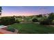 Expansive backyard features a lush green lawn with picturesque views of the neighborhood's open space at 10085 Charissglen Ct, Highlands Ranch, CO 80126