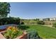 Relaxing backyard view featuring vibrant flower box and well-kept green lawn with a scenic view beyond the fence at 10085 Charissglen Ct, Highlands Ranch, CO 80126