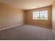 Bedroom featuring carpet floors and a large window with bright natural light at 10085 Charissglen Ct, Highlands Ranch, CO 80126