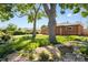 Landscaped front yard with mature trees, showcasing the brick exterior of the cozy, single-story home at 1560 Pueblo Ct, Thornton, CO 80229