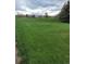Expansive green space offers a serene and picturesque view with well-maintained lawn at 755 S Clinton St # 1B, Denver, CO 80247