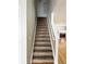 Carpeted staircase leads to the upper level, featuring hardwood flooring and a glimpse of the fireplace at 20558 E Grand Ln, Aurora, CO 80015