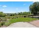 A picturesque backyard featuring a lush lawn, complemented by a charming wooden fence, mature tree and blue sky at 22935 E River Chase Way, Parker, CO 80138