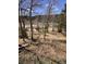 View of land featuring natural landscapes with trees and native grasses in a rural setting at 7510 Blue Creek Rd, Evergreen, CO 80439