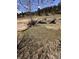 Scenic land view with a small creek flowing through the grassy terrain and scattered trees at 7510 Blue Creek Rd, Evergreen, CO 80439