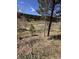 A picturesque view of the land showcasing lush trees and natural terrain under a partly cloudy sky at 7510 Blue Creek Rd, Evergreen, CO 80439