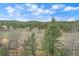 Picturesque view of a lush landscape with a blend of trees, meadow, and sky at 7510 Blue Creek Rd, Evergreen, CO 80439