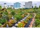 Lush community garden featuring plots with flowers, vegetables, stepping stones, and nearby residential buildings at 6764 Osage St, Denver, CO 80221