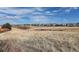 Expansive Colorado landscape view with picturesque homes against a vibrant blue sky at 10272 Fawnbrook Ct, Highlands Ranch, CO 80130