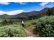 Scenic mountain view with a hiker on a trail surrounded by green vegetation at 2152 Bighorn Rd # 203, Georgetown, CO 80444