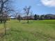 Serene grassy neighborhood with mature trees and a tranquil atmosphere at 5521 Colorow Dr, Morrison, CO 80465