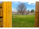 A wooden fence frames a green space with playground equipment and a large tree, perfect for outdoor activities at 13020 Julian Ct, Broomfield, CO 80020