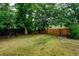 Large backyard with lush trees and plenty of space for outdoor activities at 1707 W 39Th Ave, Denver, CO 80211