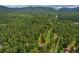 Aerial view of the charming home nestled within a lush, green forest at 28065 Camel Heights Cir, Evergreen, CO 80439
