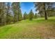 Expansive backyard featuring verdant greenery, mature trees, and a gently sloping landscape at 28065 Camel Heights Cir, Evergreen, CO 80439