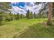 Beautiful view of the property's landscape showing its luscious green grass, towering trees, and blue skies at 28065 Camel Heights Cir, Evergreen, CO 80439