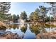 Scenic pond with a water fountain surrounded by evergreen trees at 12388 E Caspian Dr, Aurora, CO 80014