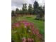 Scenic public garden with green lawn, colorful flowers and trees at 252 N Pennsylvania St # 305, Denver, CO 80203