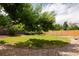 Lush backyard featuring mature trees, grassy area, and a privacy fence at 3605 W Berry Ave, Littleton, CO 80123