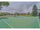 Community basketball court with green surface at 9850 Sunset Hill Circle Cir, Lone Tree, CO 80124